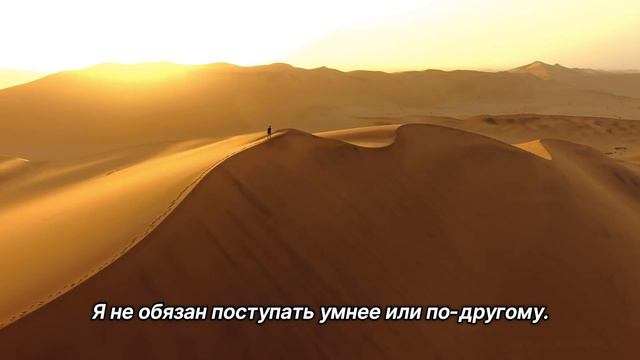 "Принять себя". 20 августа. Мужество меняться. Ежедневник для созависимых смотреть онлайн