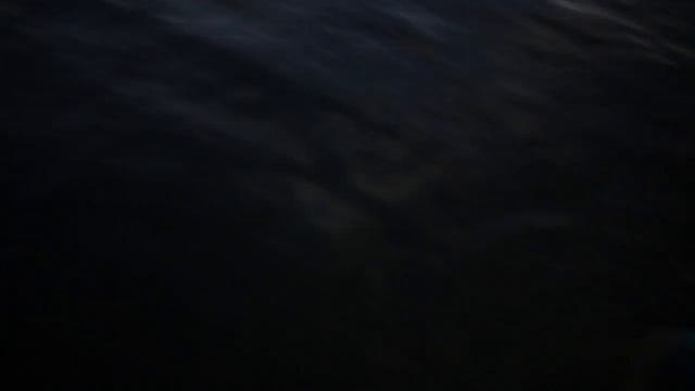 Eclipse from the Line of Totality - Lake Murray SC - Go RVing смотреть онлайн