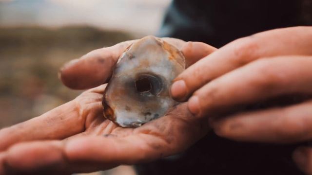 #Mudlarking 101: How Do I Start To #Mudlark? Important Info! ?⚓️ смотреть онлайн