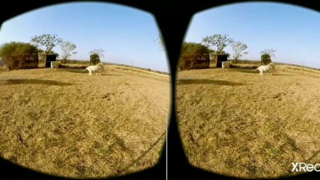 Видео для vr очков ? смотреть онлайн