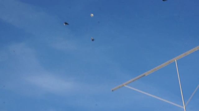 ШЕВЕЛЕНИЕ ГОЛУБЕЙ,ЧТОБ НЕ ЗАБЫВАЛИ ЧТО ОТ НИХ ХОТЯТ.06.12.2020 г. смотреть онлайн