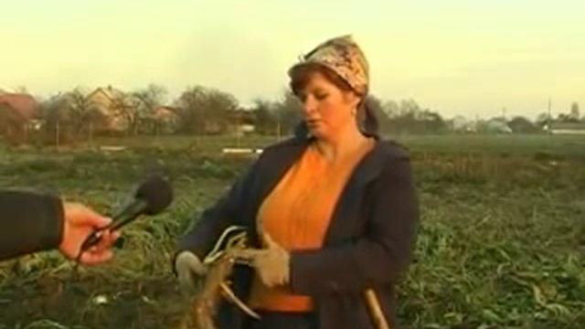 Закарпатский хрен. ето надо увидить смотреть онлайн