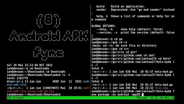 Golang 8 Android APK Fyne 230528