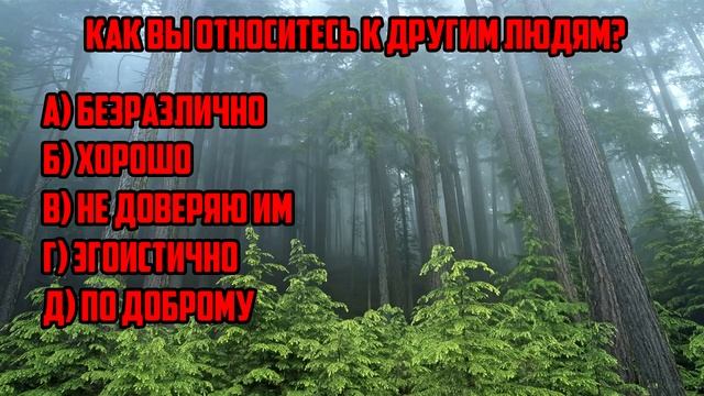 Магическая отрада и испытание