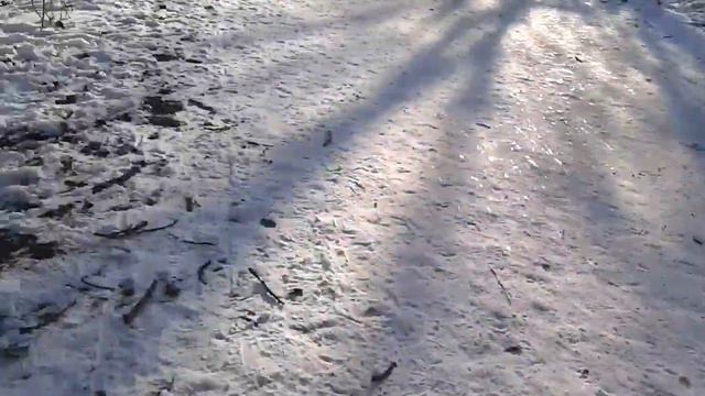 Вечерний Ургант в Одессе(дружеский шарж) смотреть онлайн