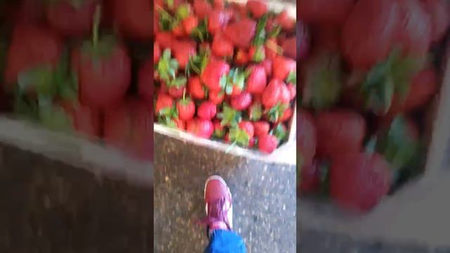 Кулинарный мир