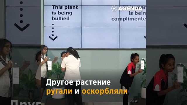Чувства растений
