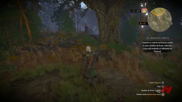 The Witcher 3 Wild Hunt #69 Liche: O Espírito do Bosque (Gameplay PT-BR) смотреть онлайн