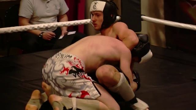 Открытый Московский областной турнир по смешанным единоборствам (любительская версия)