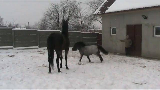 Интрига и Луна 2012 смотреть онлайн