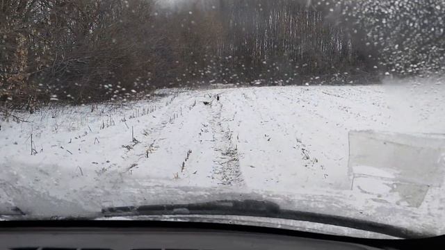 "Крылья, ноги, хвосты" и 3 ФАЗАНА! смотреть онлайн