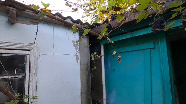 Дом за 2 млн.100 т.₽/ ст. Михайловская Краснодарский край смотреть онлайн