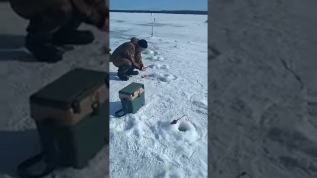 ОЗЕРКИ МАКС смотреть онлайн