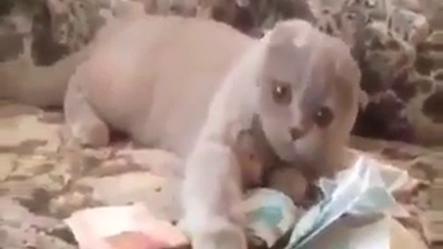 А жизнь хороша смотреть онлайн