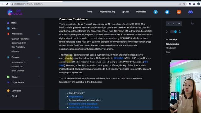 DOGE PROTOCOL TESTNET 2 REVIEW! | SETTING UP THE TESTNET BLOCKCHAIN NODE CLIENT смотреть онлайн