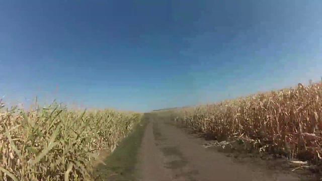 Покатухи по Решетилівці. Иж К-16. ИЖ ЮПИТЕР 5. смотреть онлайн