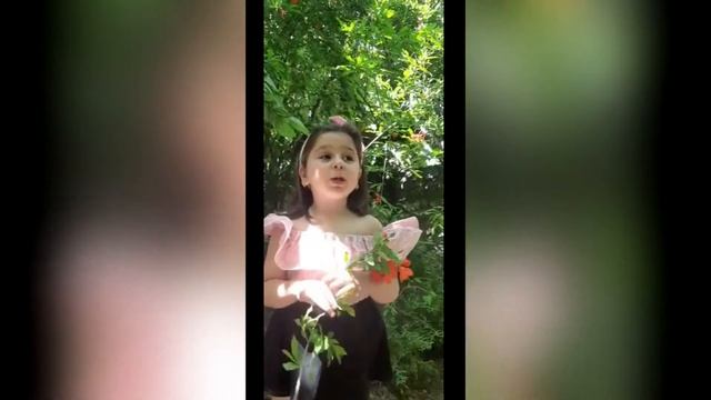 Стихотворение - АРМЕНИЯ читают дети смотреть онлайн