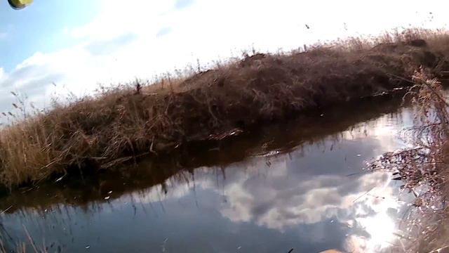 погода не очень зато плотва ловится рыбалка на поплавок весной смотреть онлайн