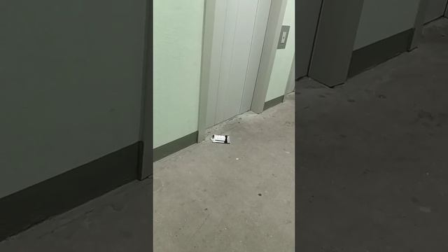 ? ШУМНЫЕ СОСЕДИ, бытовое хулиганство❗Когда же это прекратится⁉️ смотреть онлайн