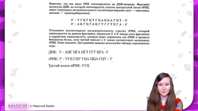 Новый тип задач № 27 | Синтез белка