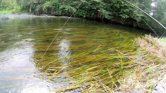 ЛОВЛЯ СПИННИНГОМ ПОД КУСТАМИ ? КОГО ТАМ МОЖНО ПОЙМАТЬ ? ГДЕ ИСКАТЬ ГОЛАВЛЯ ЛЕТОМ В ЖАРУ смотреть онлайн
