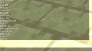 НОВАЯ ПРОГРАММА ДЛЯ ВЗЛОМА ЛЮБОГО СЕРВЕРА!| MINECRAFT