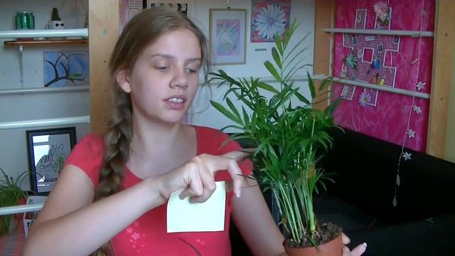plant haul смотреть онлайн