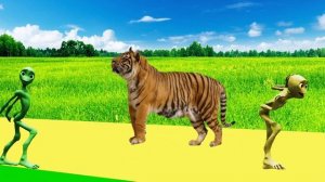 животные для детей ладушки - домашние животные для детей 3 4 лет | BonBi TV