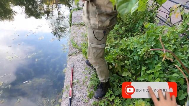 Обозреваем и тестируем удочки из Фикс Прайс для летней и зимней рыбалки. Зимняя рыбалка летом? смотреть онлайн