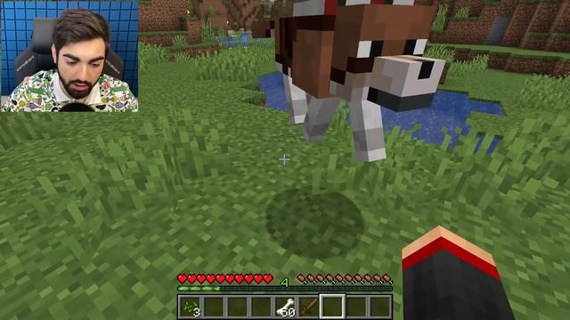 КАК СКРАФТИТЬ АЛМАЗНУЮ БРОНЮ ДЛЯ СОБАКИ НА ПОСЛЕДНЯЯ ВЕРСИЯ МАЙНКРАФТ 1.16 смотреть онлайн