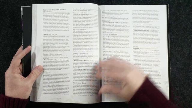 Dungeons & Dragons Explorers Guide to Wildemount: First Look and Page Through смотреть онлайн