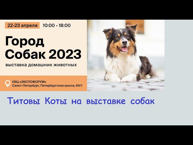 Выставка собак Город собак