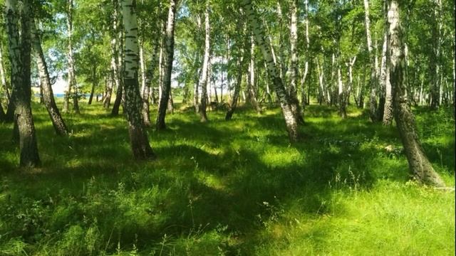 ЖИЗНЬ НА НОВОЙ ЗЕМЛЕ (ВОССТАНОВЛЕНИЕ ЭНЕРГЕТИЧЕСКИХ КАНАЛОВ) смотреть онлайн
