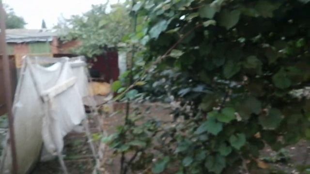 Отмечаем годовщину свадьбы? смотреть онлайн