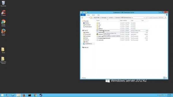 Codename Cure Dedicated Windows Server