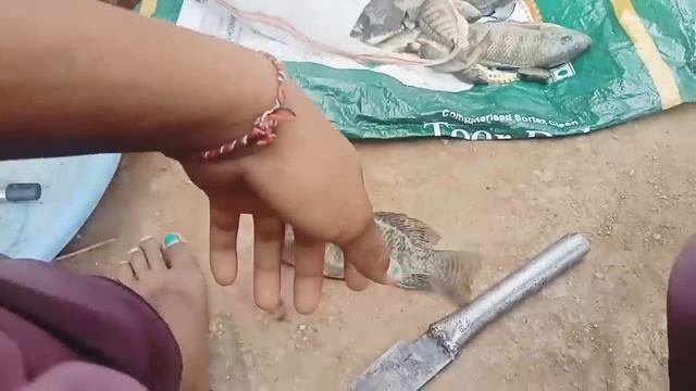 Nha janwswi lai jwng ha ??? смотреть онлайн