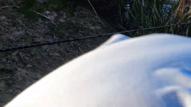 Агонь-рыбалка! "Взяли" злого СУДАКА и ночного КАРАСЯ на низовьях Волги (сентябрь-2022)..в Астрахани смотреть онлайн