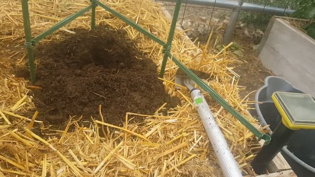 Planting Peppers and Tomato Plants! (Momma Debbie Garden Vlog 2021) смотреть онлайн