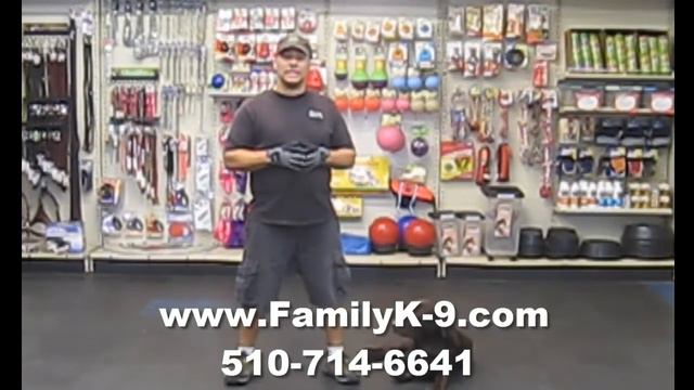 San Jose Dog Trainer aka The Dog Communicator - Demonstrates H12-11 смотреть онлайн