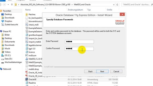 01 MetIDQ Introduction: Oracle Database Installation смотреть онлайн