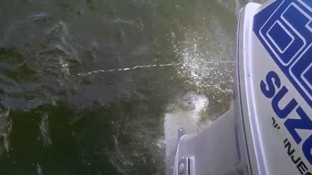 60hp Suzuki Outboard смотреть онлайн