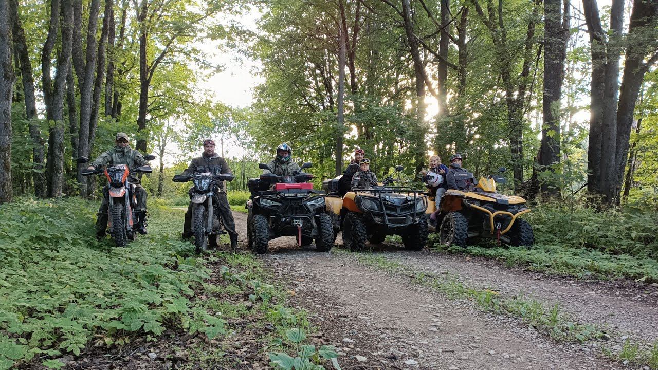 Едем на Мираторг за быками и в лес !!! смотреть онлайн