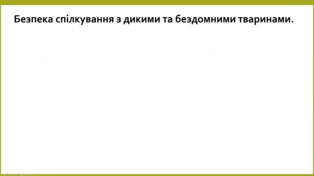 Літні розваги. Безпека спілкування з дикими та бездомними тваринами. смотреть онлайн