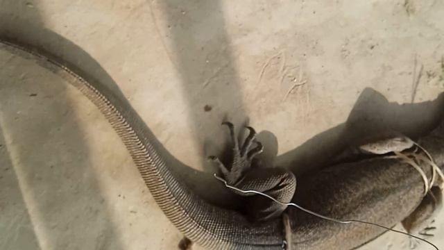 Aaj fast time main deka hoon face to face Dangerous Dragon. смотреть онлайн