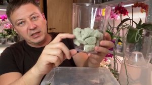 ПЕРЕСАДКА ОРХИДЕИ ТОЛЬКО С ВОЗДУШНЫМИ КОРНЯМИ