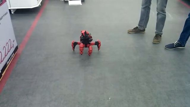 Оренбург открытие Медиамаркт смотреть онлайн