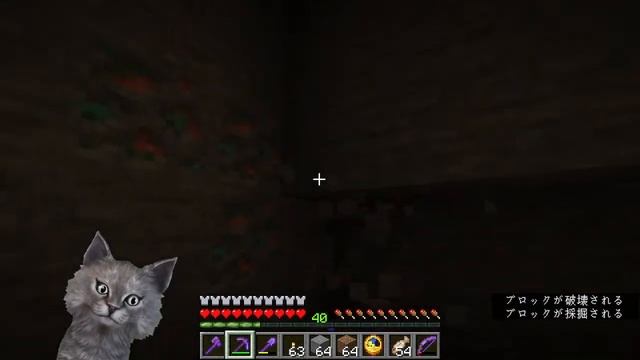 Minecraft test (Java Edition 1.19) смотреть онлайн