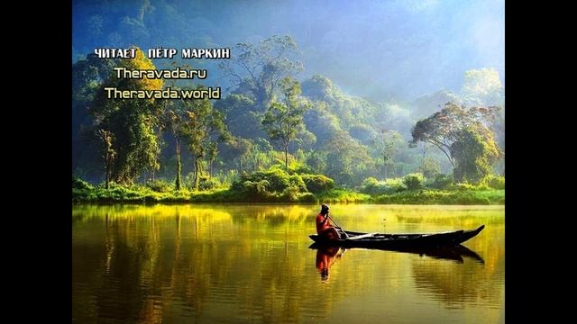 Тихая лесная заводь. Медитация прозрения - Аджан Чаа (Буддизм Тхеравада) смотреть онлайн