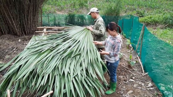 building a new life episode 14 | Build a small farm on the high mountain | Live with nature