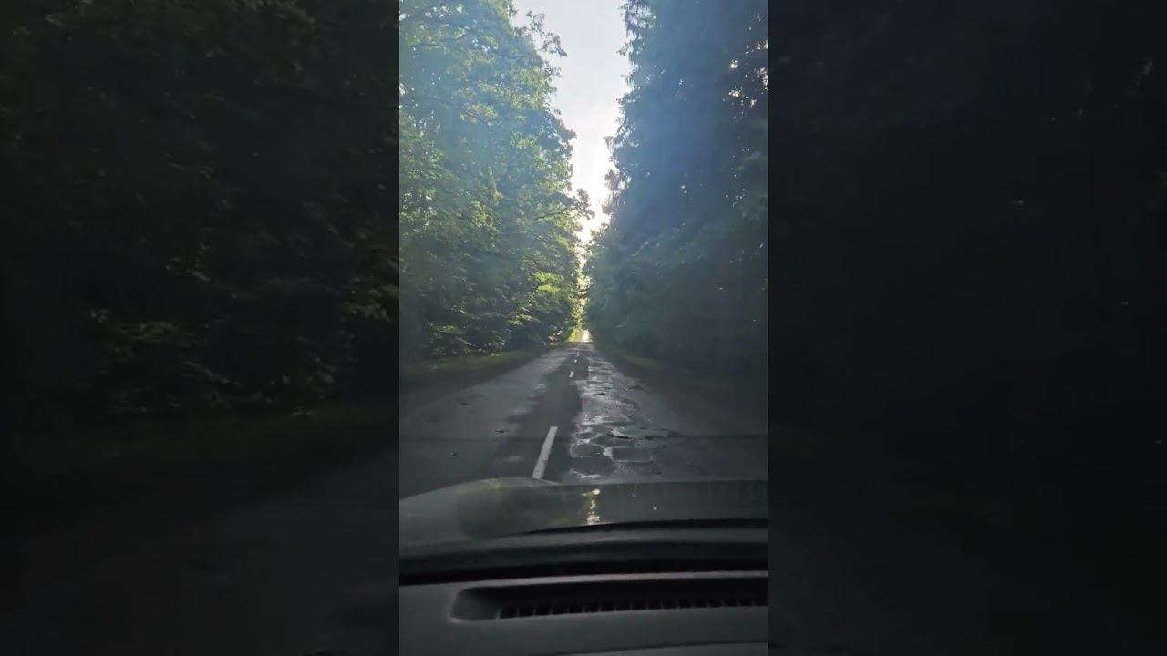 #shorts Красоты Полесья смотреть онлайн